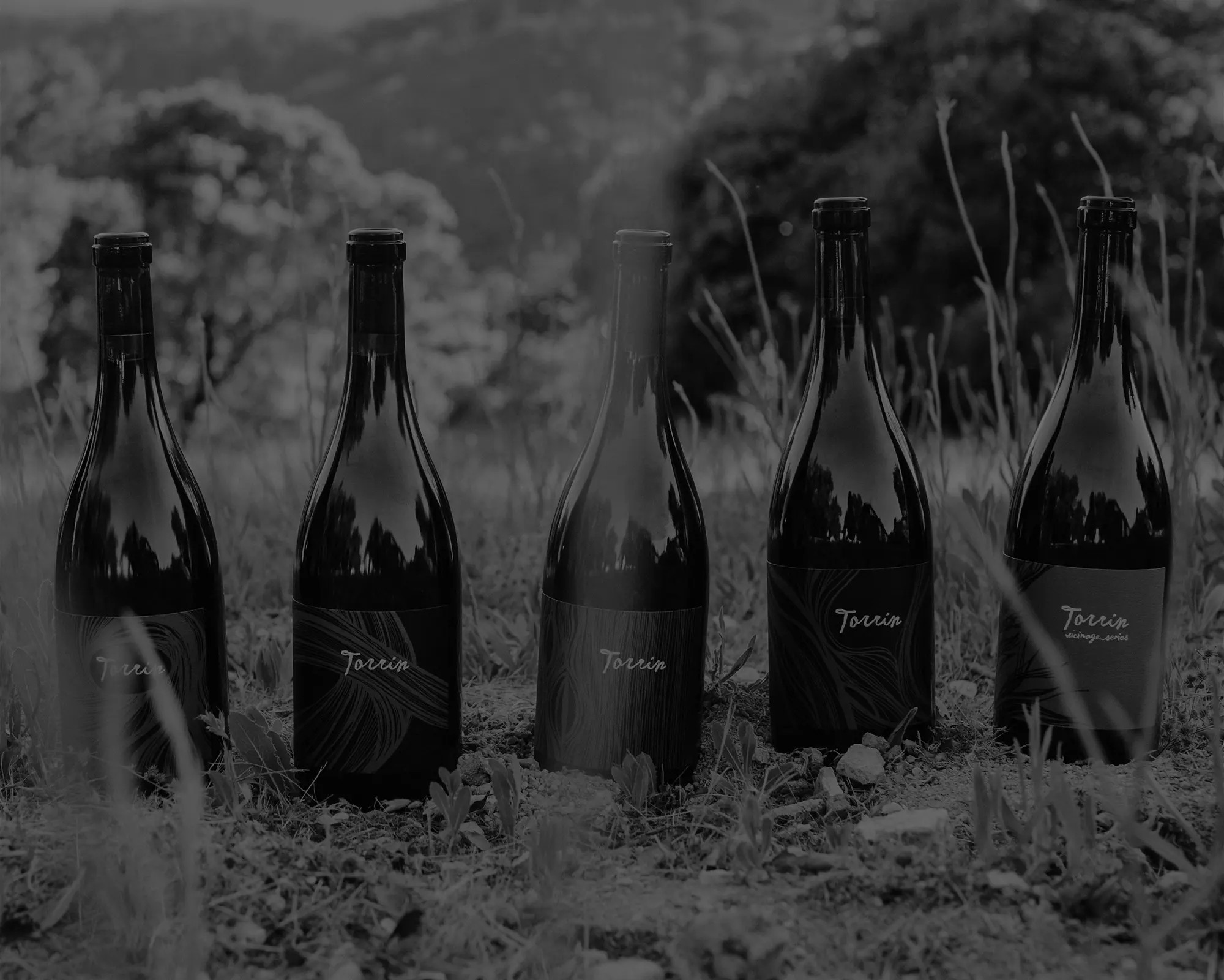 Acquire Torrin Paso Robles Wines